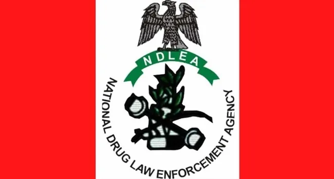 The image features the logo of The National Drug Law Enforcement Agency
